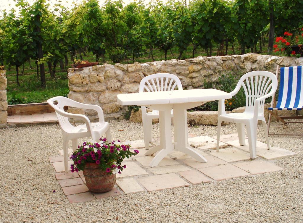 Chambres D'Hotes Domaine De La Rose Des Vents Castelnau-sur-l'Auvignon Ngoại thất bức ảnh